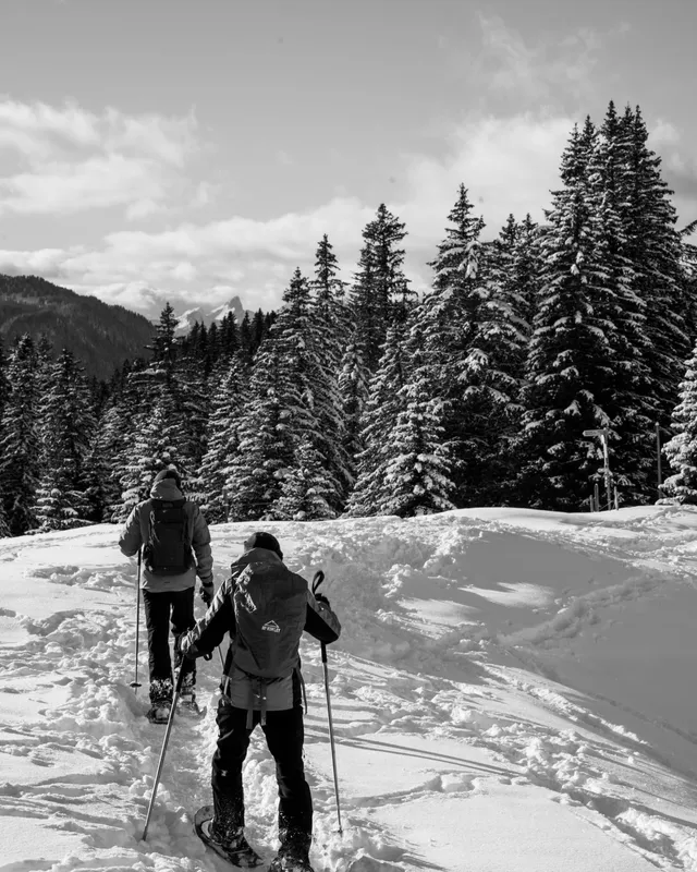 Randonneurs en raquettes dans la forêt enneigée